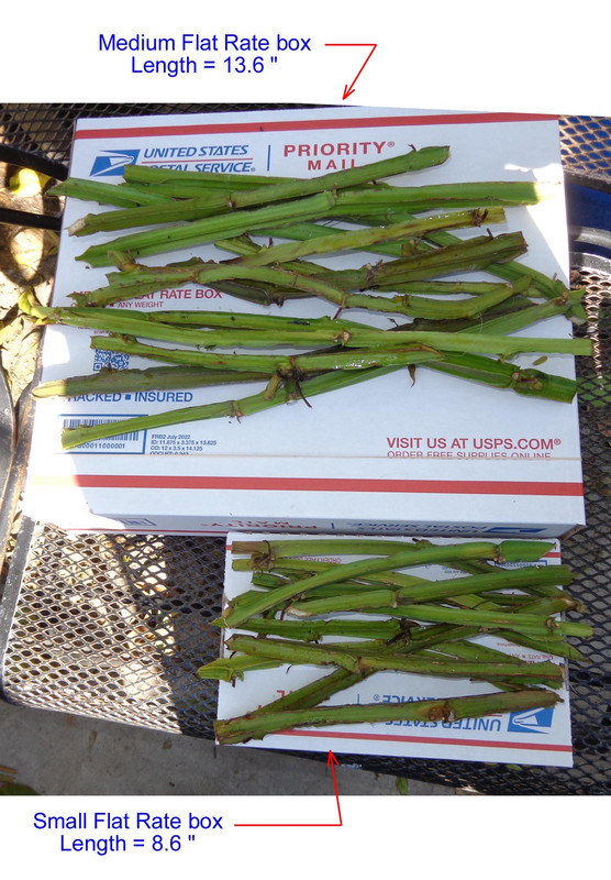 Shipping Box-Passion Cuttings