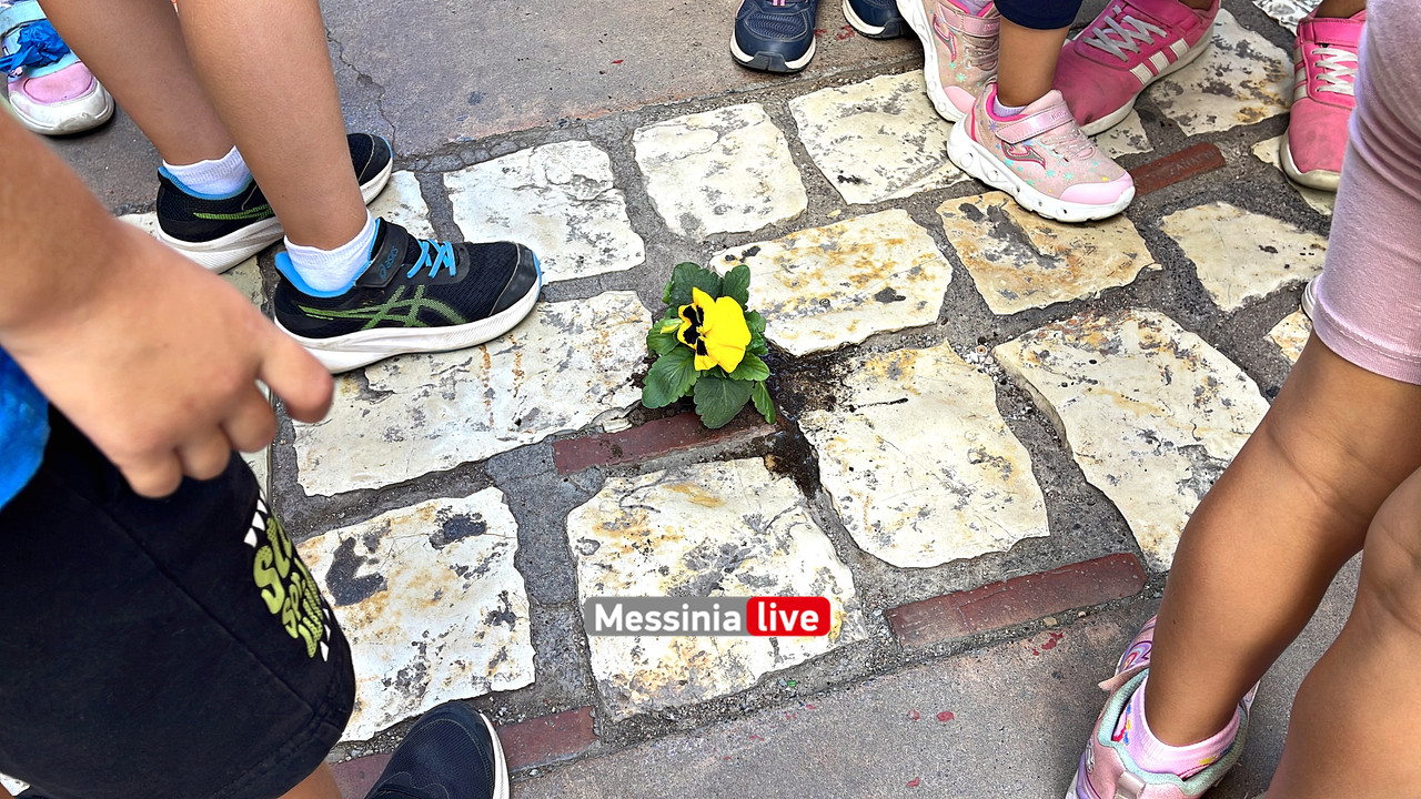 πειραματικηimage00010