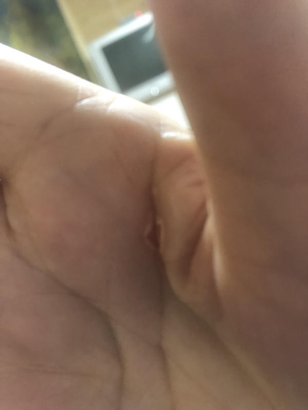 5FE29321-7145-40C0-9ACB-E254E04E5267