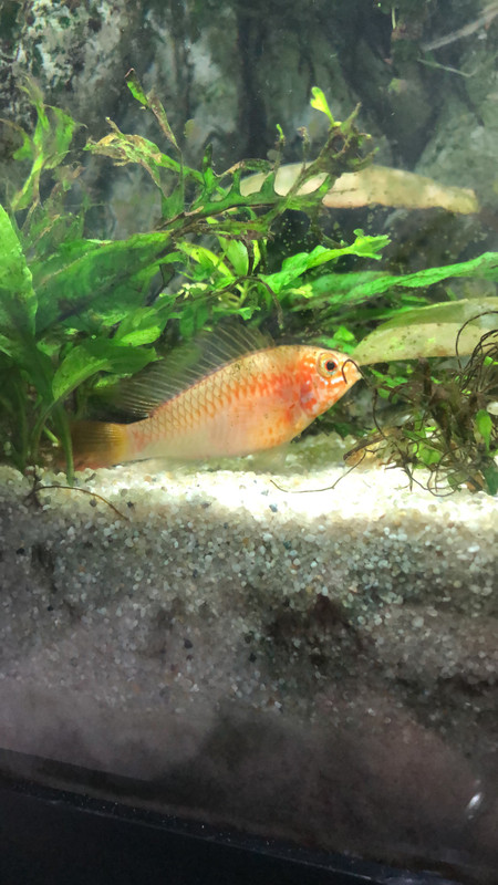 415440A0-4C4E-4583-A24C-4B8D06061E8B