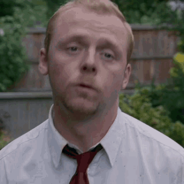 shaun-of-the-dead-simon-pegg.gif