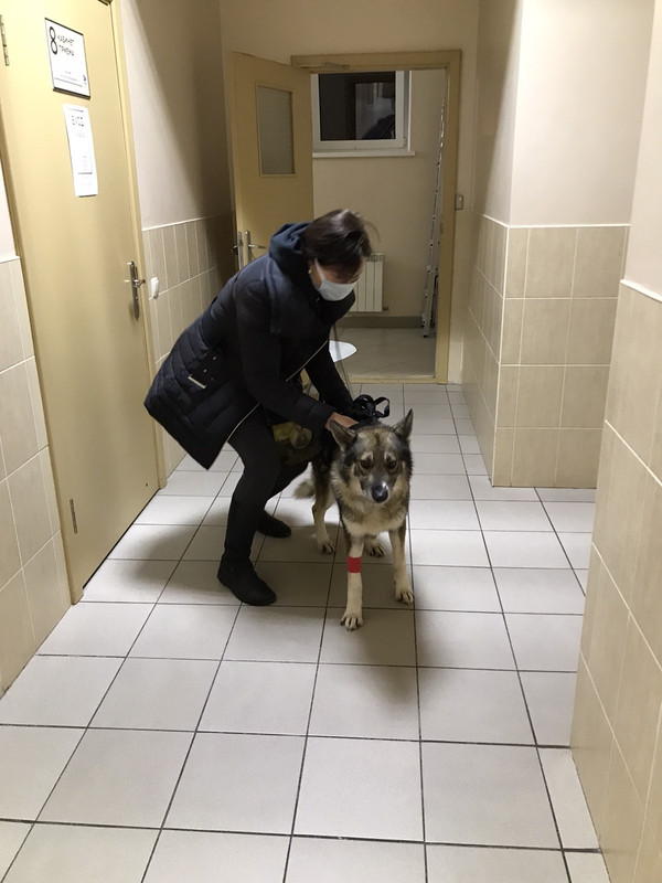 A9383663-2572-46B3-BAE9-ACBD26328811