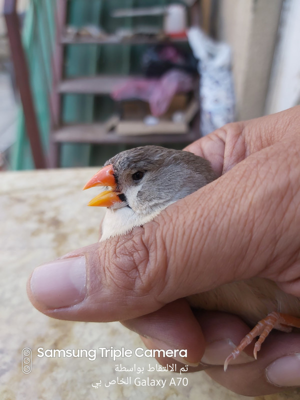 ٢٠١٩١٠٠٤_١٥١١٣٩