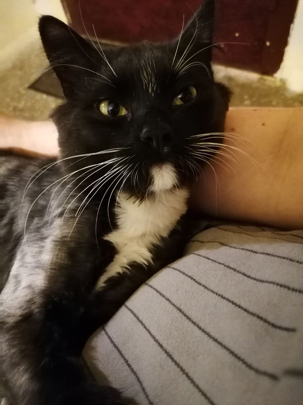 761111BA-25B7-4ADF-B6A7-8607DA4B5228