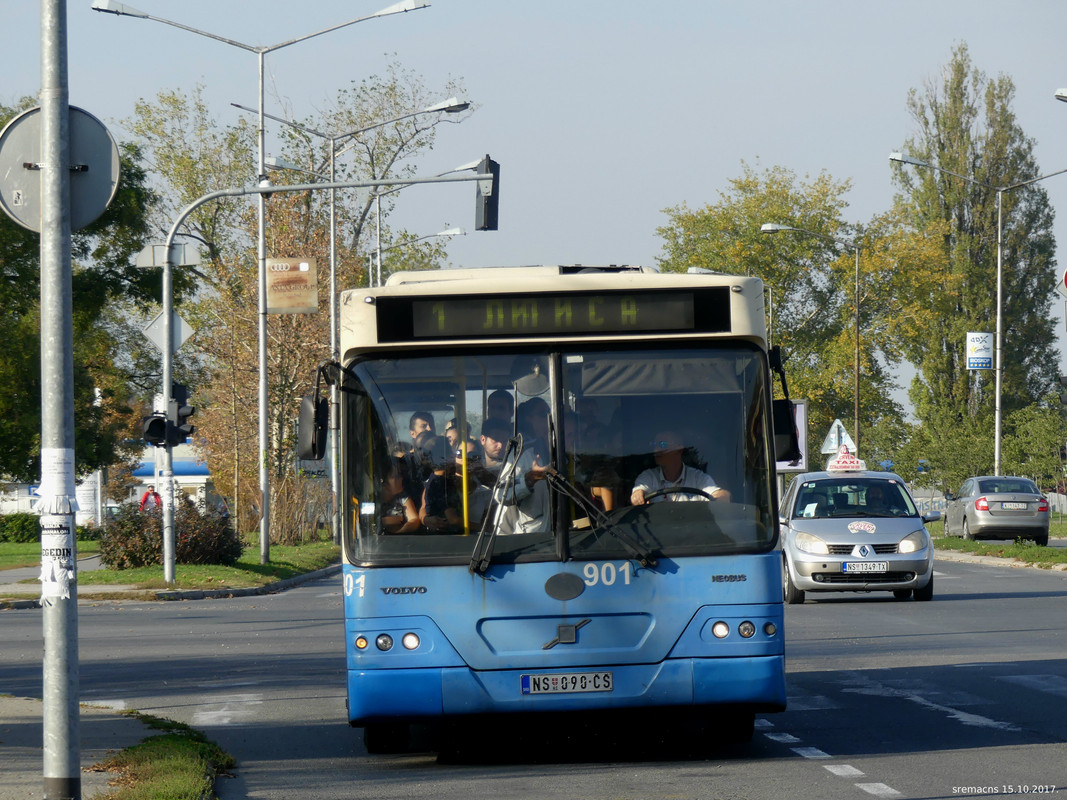 P1000074 a