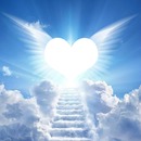 [Image: 3560113-f6fa1.jpg]