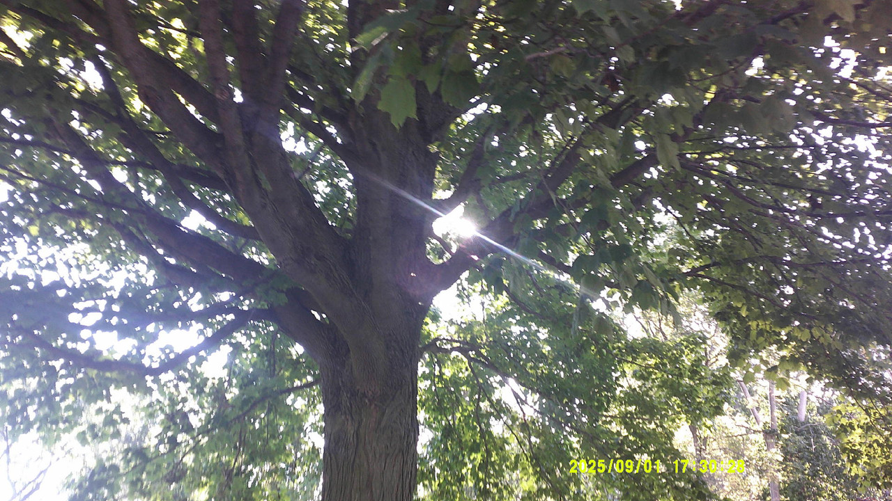 a green gradient