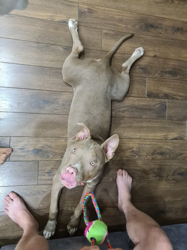 2E1863C6-AE93-4B85-B085-66A88AE9B1FE