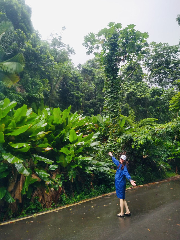 B00D4238-7DB1-4E25-B020-7B31C04B59C3