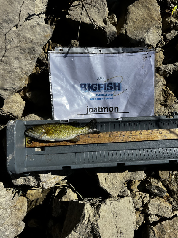 A7F42390-8034-492D-BA40-41A0D8706200