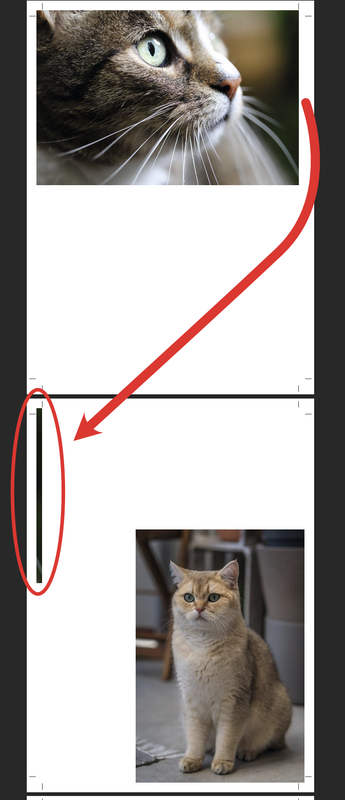 Capture d’écran 2025-02-23 à 20.32.36