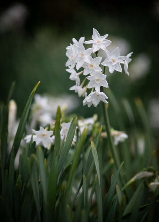 639527191-10239422560198884-5365681851121931242-n