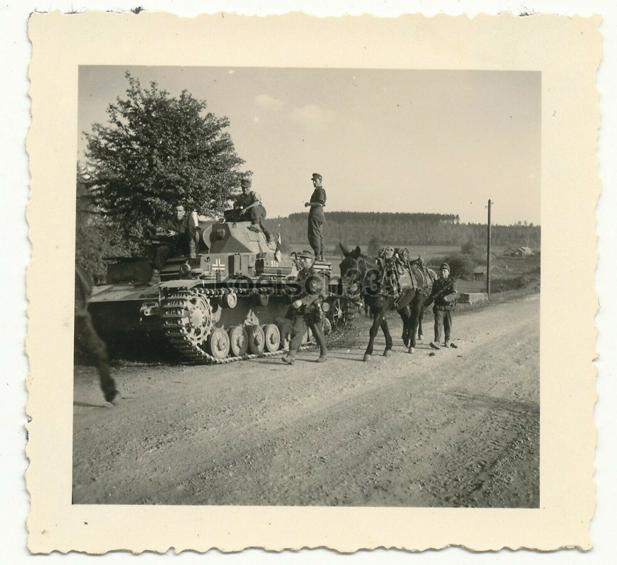 Foto Gebirgsjäger auf Panzer IV in Frankreich Tragtier neben Kam