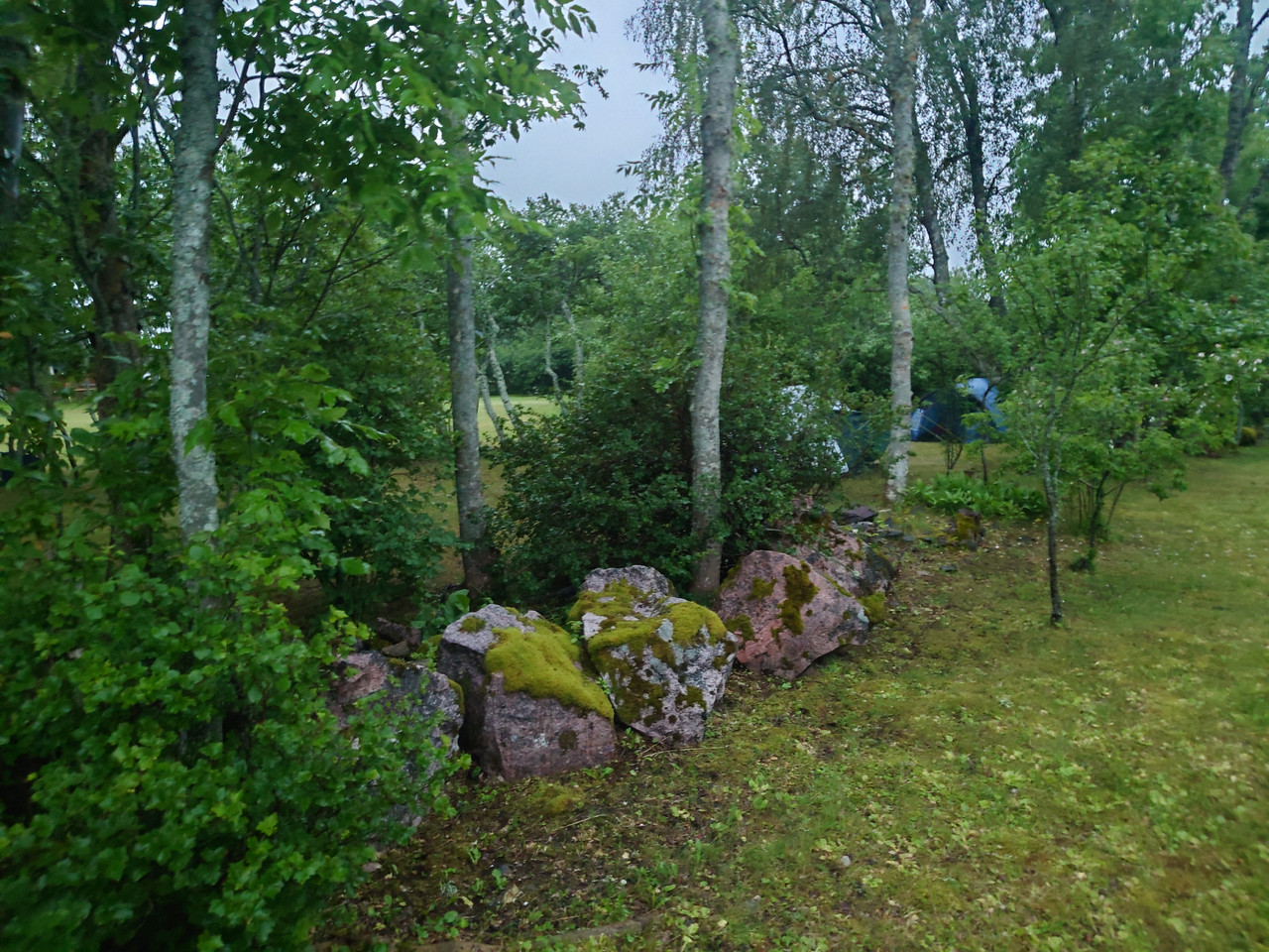 IMG 3873