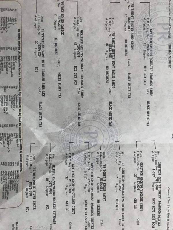 received_703907950564951