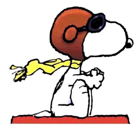 http://scalp.plaxmol.com/wp-content/uploads/2008/12/snoopy-red-baron.bmp