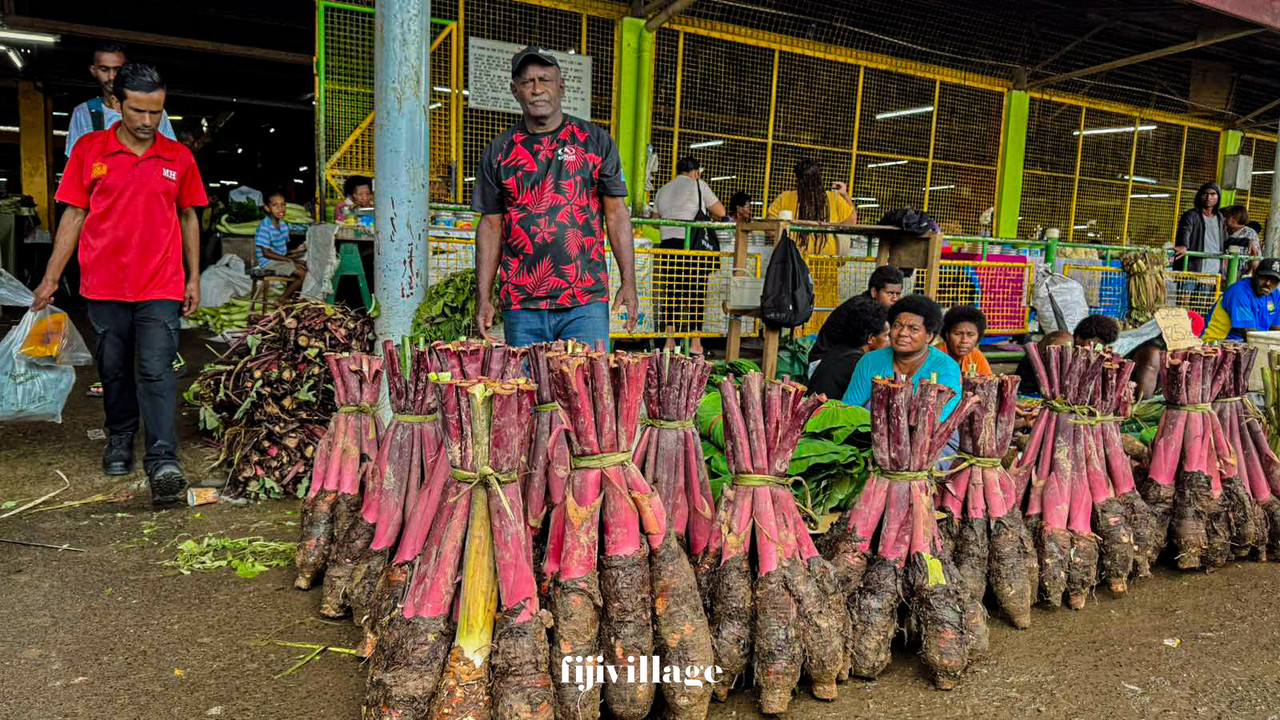 0-02-07-27877cfa1ea60cb4c79dc5f2bf357f53e6a2a5b6a4b81d8b3a62f500f0ab5d2a-780451ed7dfbe7cb