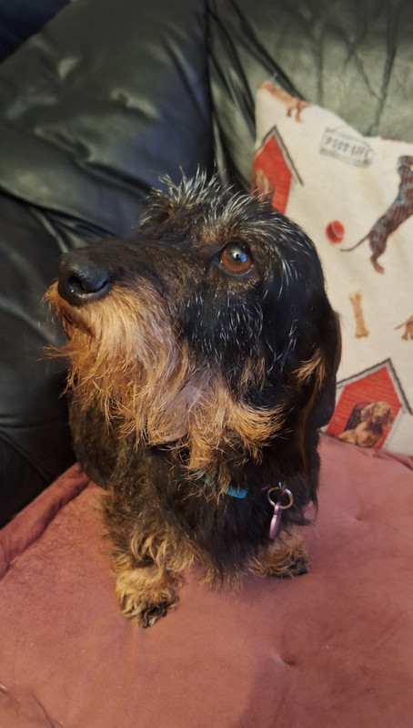 [Image: 20251110-191501.jpg]