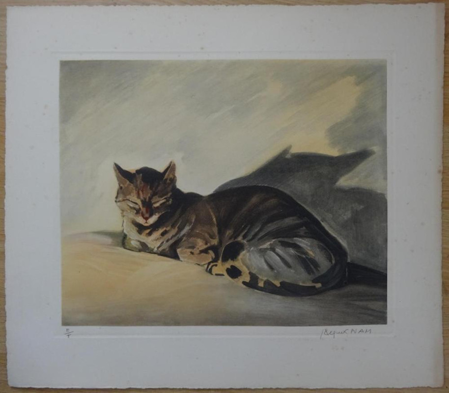 5 — Postimages