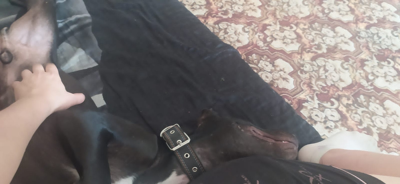 355B9914-A63C-40F4-8777-7A6FE0773477