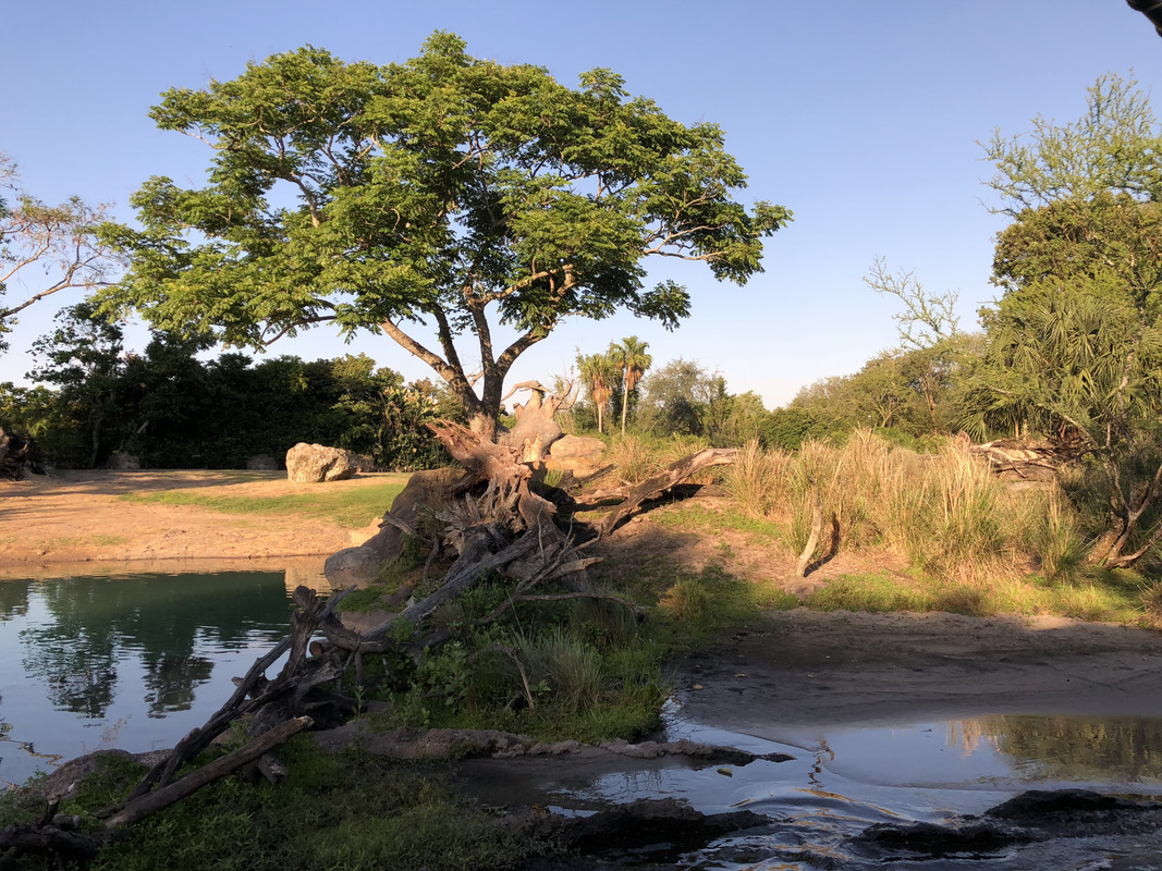 09C76904-F4B2-43C5-B836-B662FA3545C5