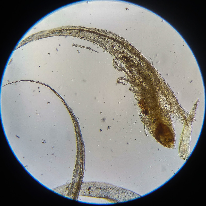 IMG 20250614 122032 HDR