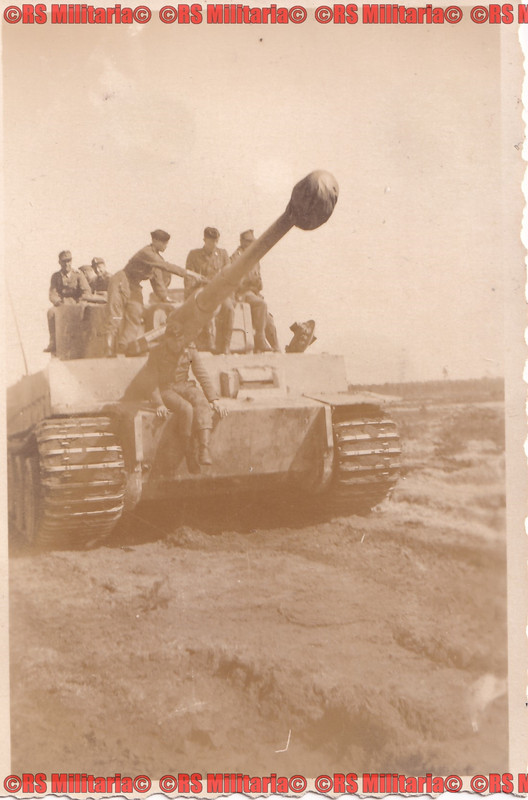 Tiger Panzer s.Pz.Abt. 505 Sommer 43 Russland #4 (1)