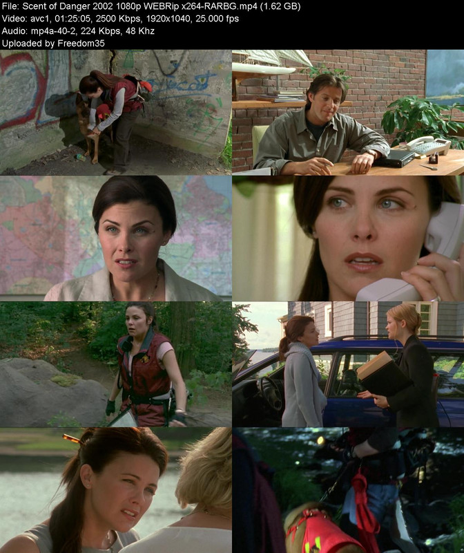 Scent-of-Danger-2002-1080p-WEBRip-x264-R