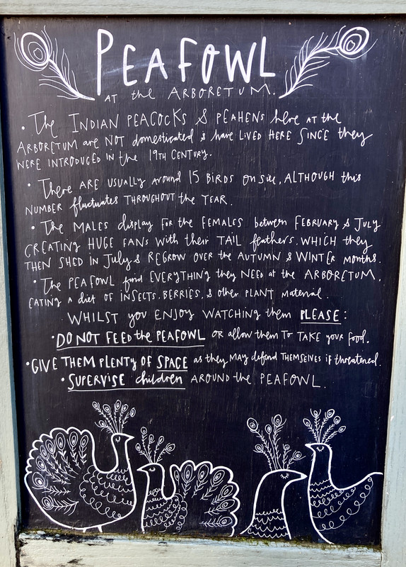 7CF28E4E-C445-4D2E-8892-E1F4E89B42A5