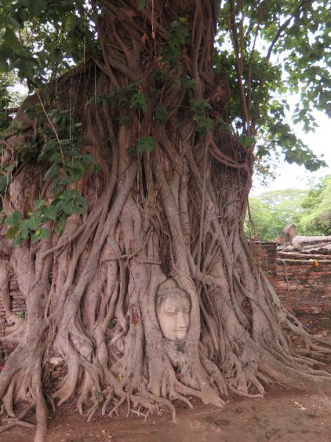 TAILANDIA Y CAMBOYA POR MENOS DE 1000€, VIAJE MARCA DE LA CASA - Blogs de Tailandia - Dia 3 - Ayutthaya, masaje y la mejor azotea de Bangkok (4)