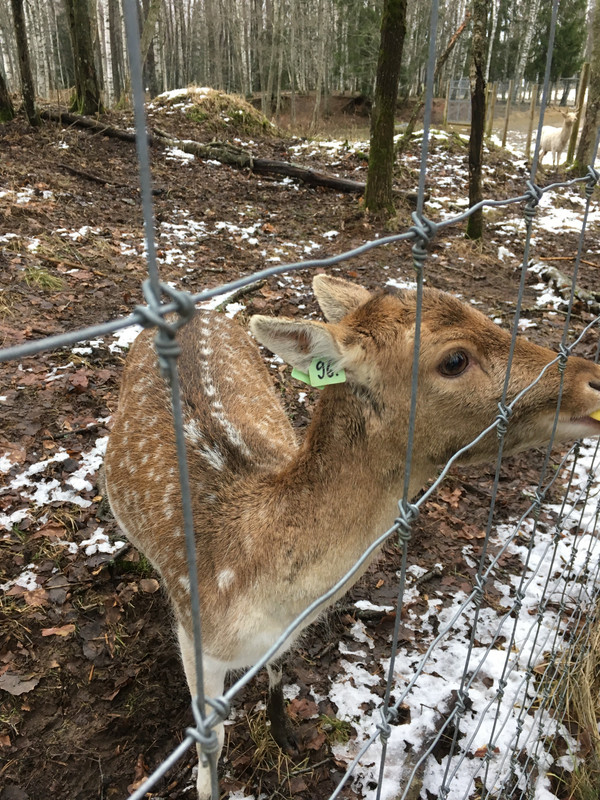 DB8AF045-5D6A-41FF-98D0-AA7C47C0097A