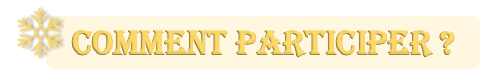 https://i.postimg.cc/zGKj97gH/participer-noel.png