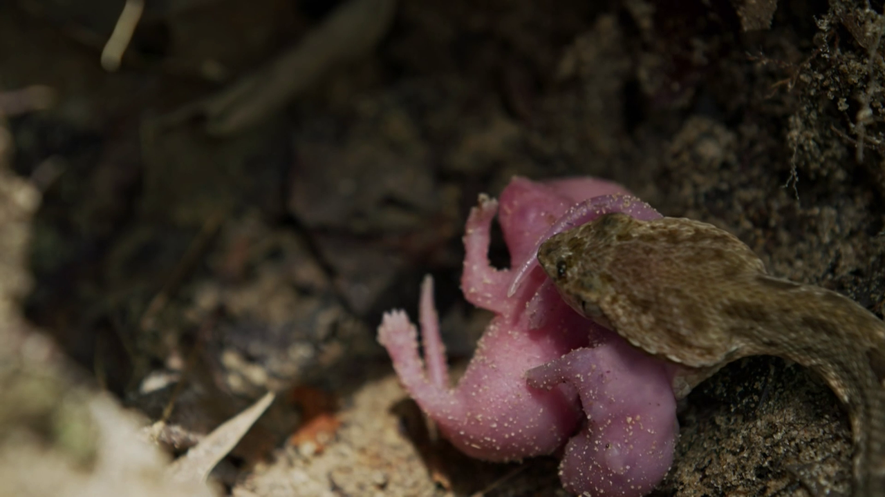 vlcsnap-2023-02-27-14h15m12s475