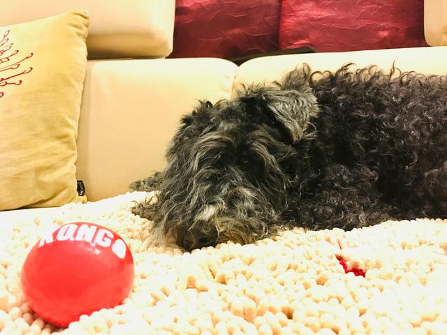 3-E509-F8-E-75-F6-42-B6-9325-9-BD08-BAFE