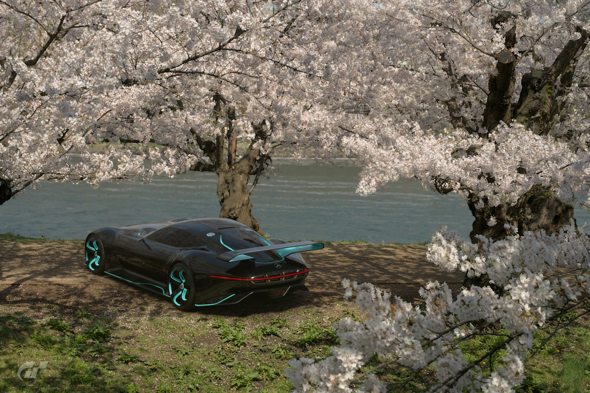 Kersenbloesems-bij-het-kasteel-van-Hirosaki.jpg
