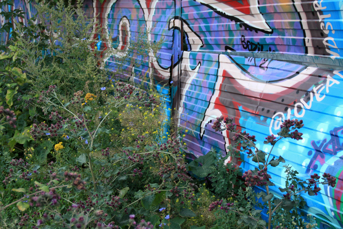 IMG_8715_обработано