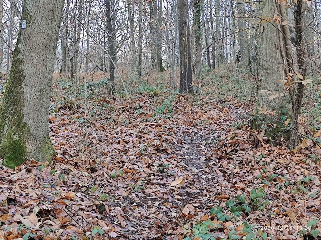 WhatsApp Image 2020-12-15 at 15.07.55 (2)