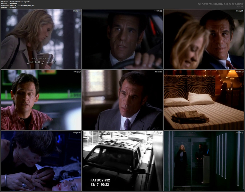 Profiler S03E02 Cravings.mkv