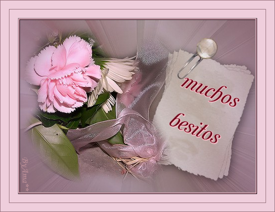 Cuadro con Rosa Besitos