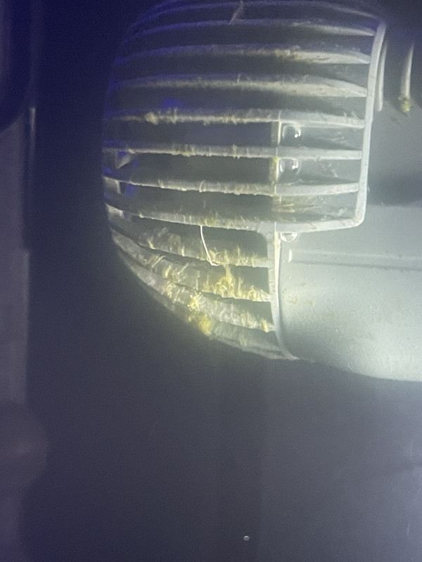 C5190ACE-572E-4C3D-89A4-390F6D476C4E