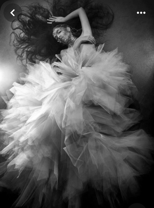 Screenshot_20231119_212157_Pinterest