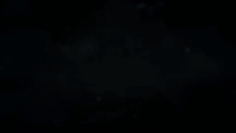 fj1EAoA.gif