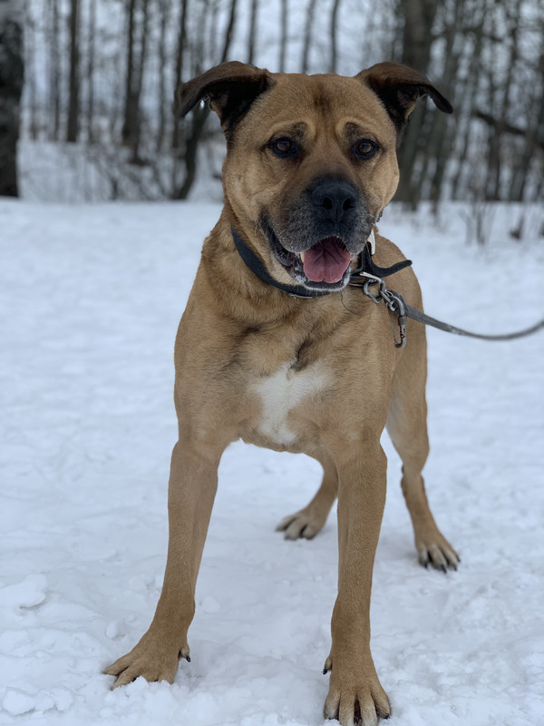 65600DEF-C67E-4F79-9DD3-26C8900E923E