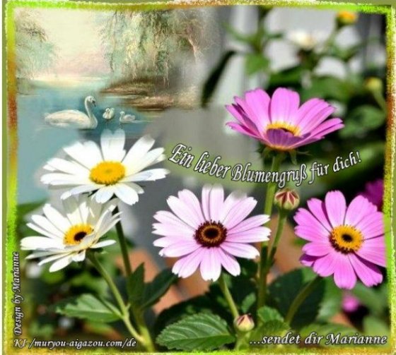 An den Beitrag angehängtes Bild: https://i.postimg.cc/zGLxNVGG/137-Ein-lieber-Blumengruss-fur-dich.jpg