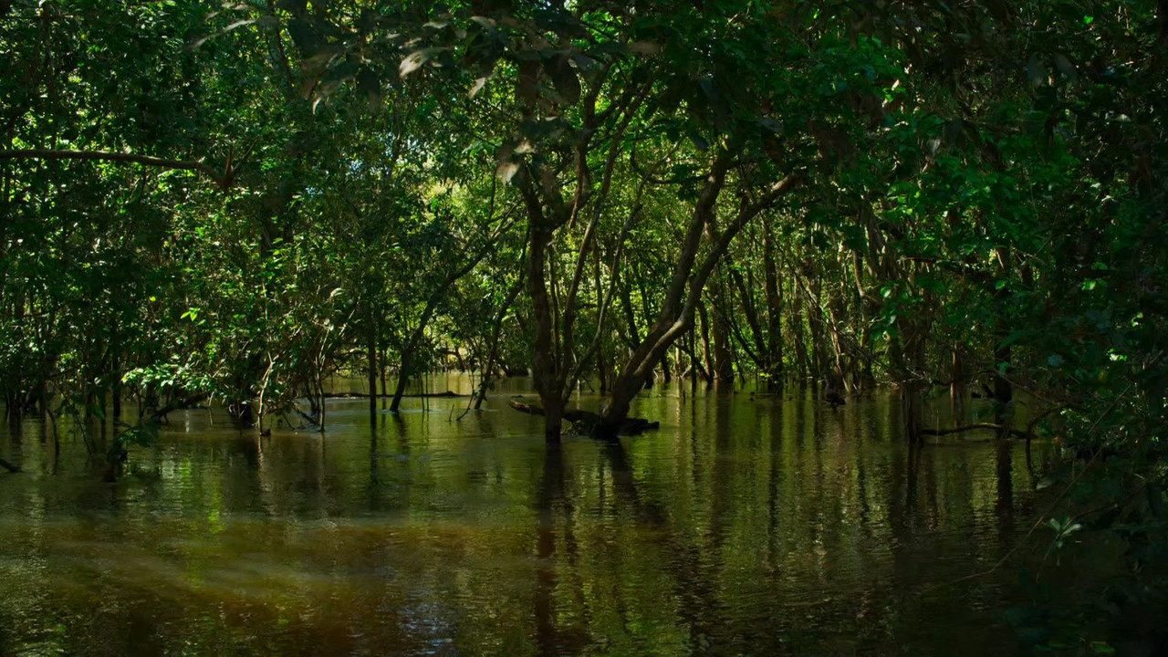 Planet Earth II S01E03 Jungles (1080p x265 10bit Tigole).mkv_sna