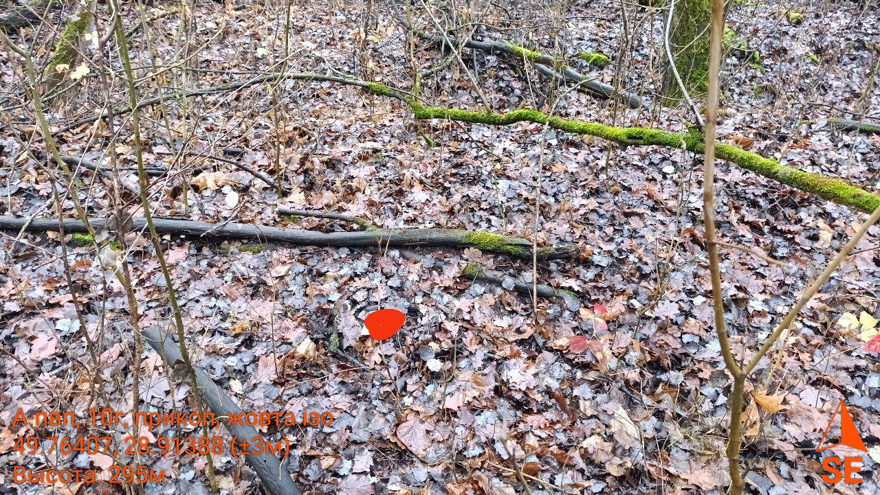 photo 8 2025 12 04 22 25 09