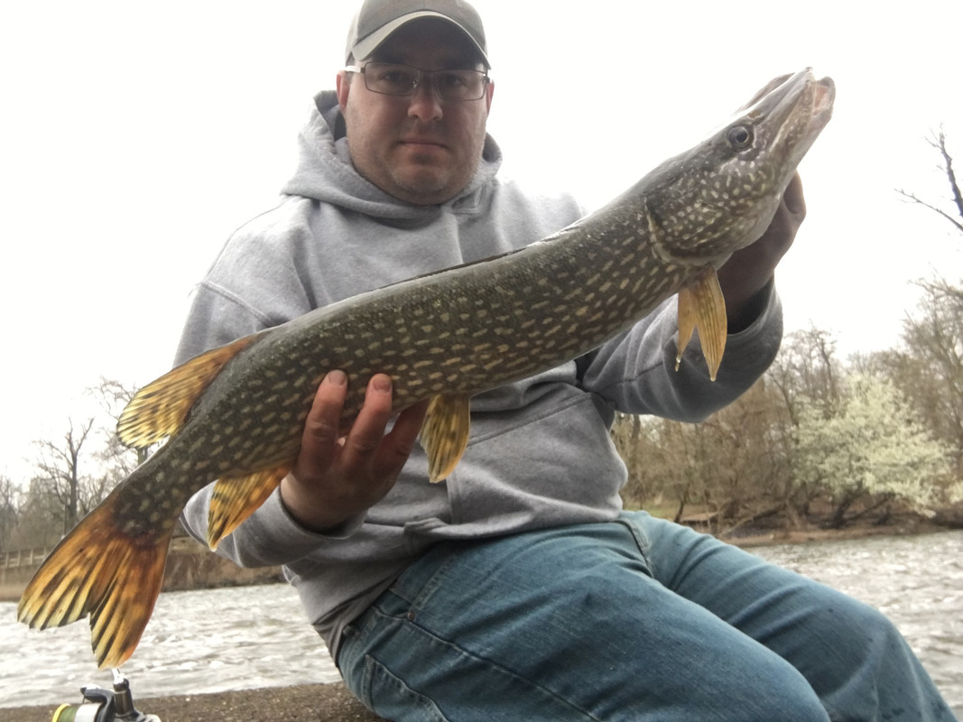 76290F5A-8B38-48CF-8425-8A1BDEBD5CFC