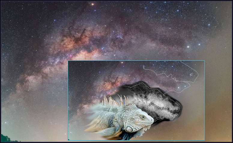 Iguana2.jpg