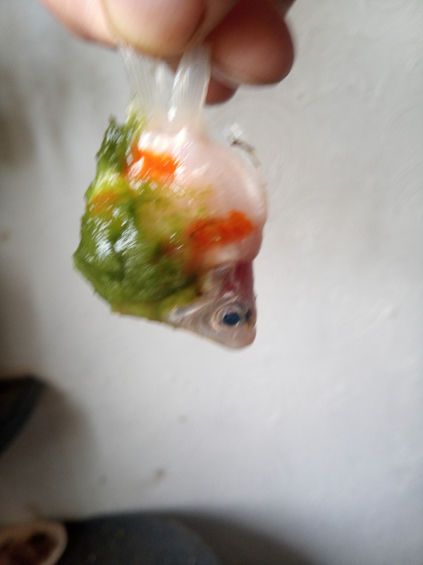 IMG_20240716_143808_718