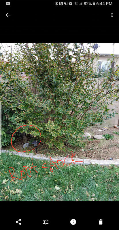 Screenshot_20180201-184506